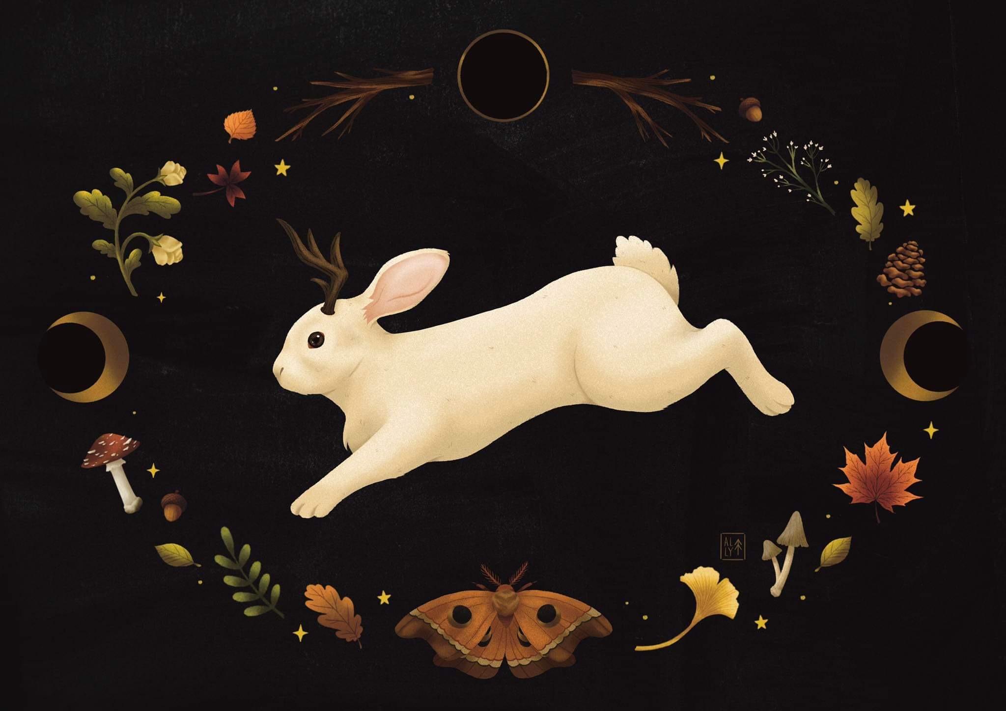 Ally Ribeiro - Jackalope